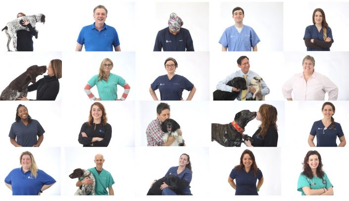 Cares – Animal Health Portraits of Staff